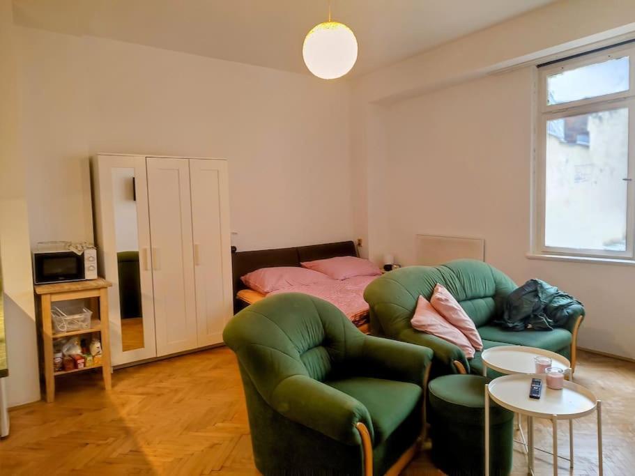 Cosy Warm Apartment In The Heart Of Prague. Zewnętrze zdjęcie
