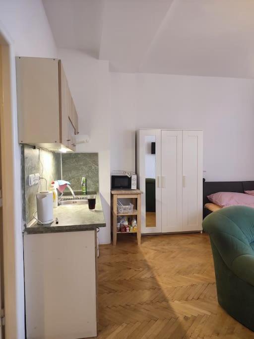 Cosy Warm Apartment In The Heart Of Prague. Zewnętrze zdjęcie