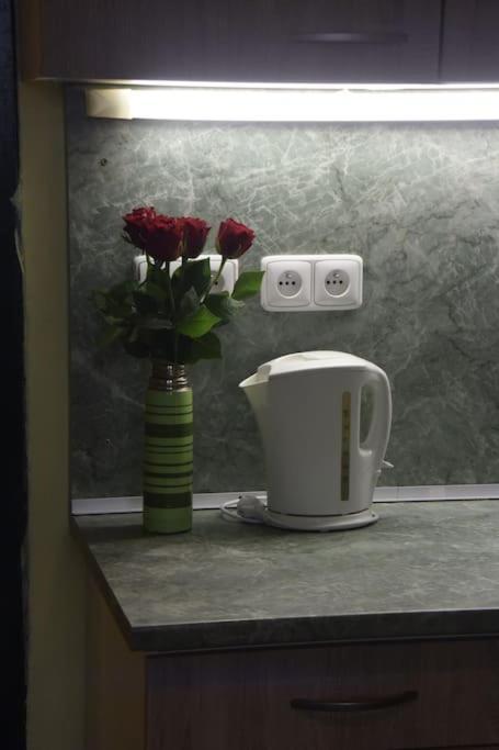 Cosy Warm Apartment In The Heart Of Prague. Zewnętrze zdjęcie