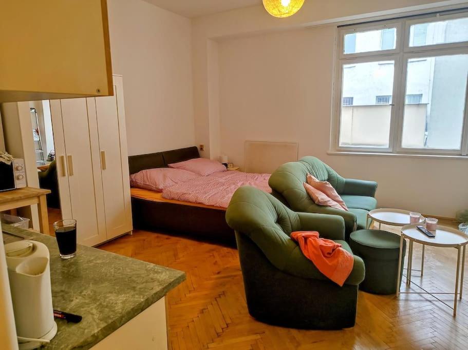 Cosy Warm Apartment In The Heart Of Prague. Zewnętrze zdjęcie